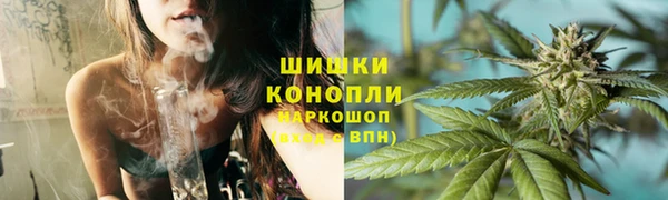 МДПВ Бронницы
