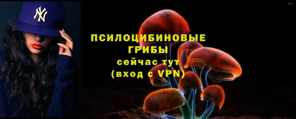 МДПВ Бронницы