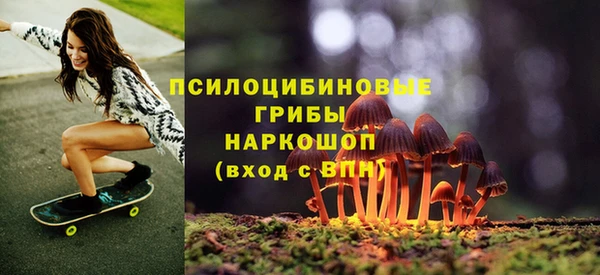 МДПВ Бронницы